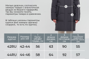 Зимняя женская  куртка Wiadimir 2521  серая 