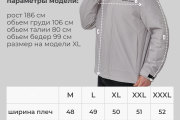 Демисезонная мужская куртка Talifeck 50856 Светло-серая